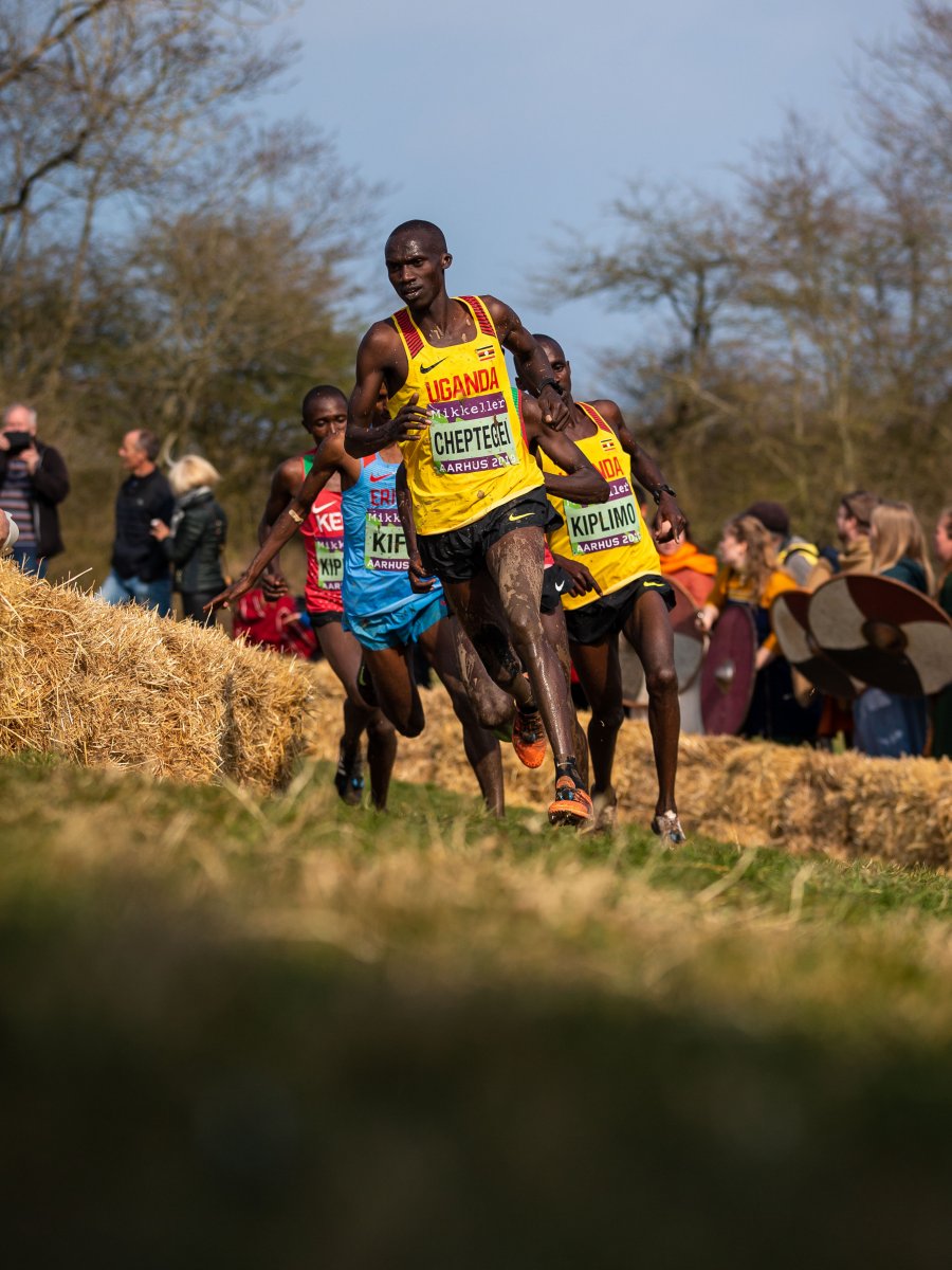 Belgrade Cross Country Championships Set Stage for Epic Rematch as Elite Runners Battle for Gold